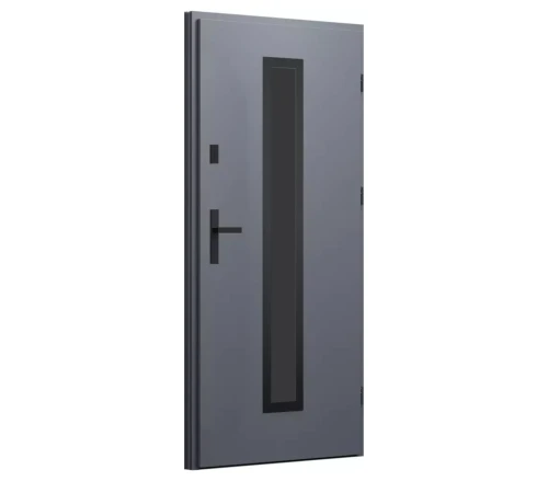 drzwi-zewnetrzne-wiked-prime-antracyt-przeszklone-cieplepodlogi-1.jpg